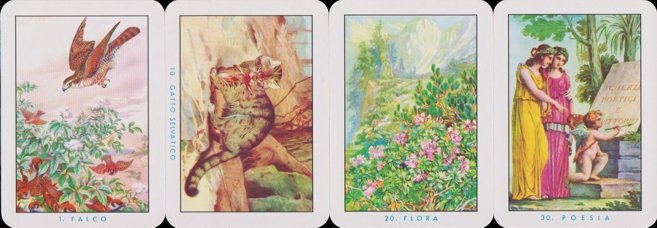 inv1443 | Atlas of Playing Cards