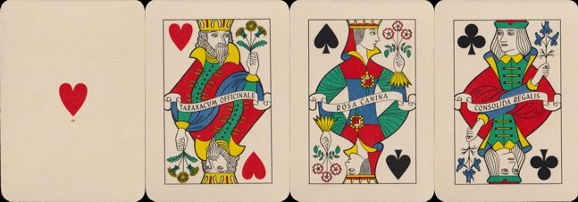inv2125 | Atlas of Playing Cards